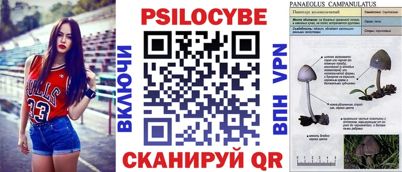 Псилоцибиновые грибы мицелий  где купить наркоту  Усть-Илимск 